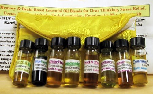 Brain8Pk500 2