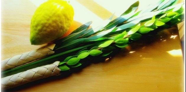 lulav