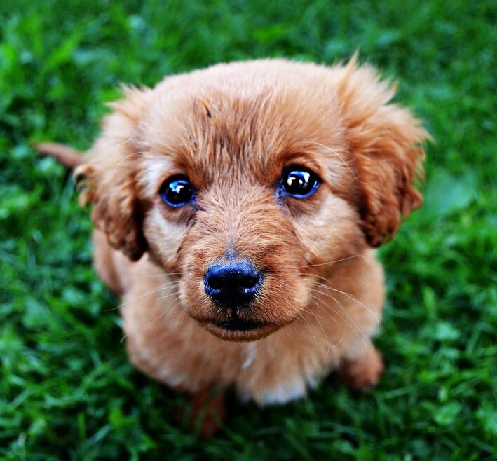 Capture decran 2025-03-03 133325