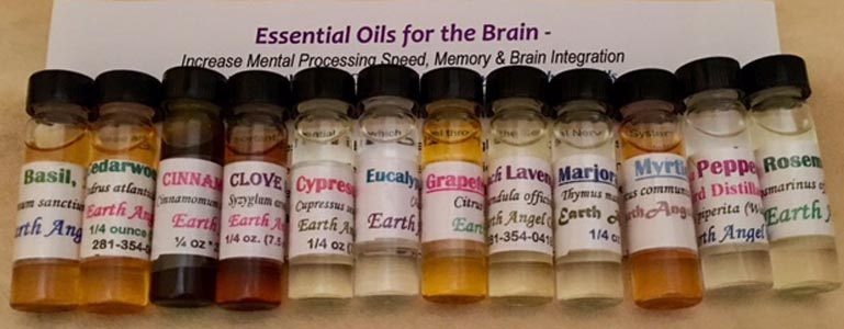 BrainPackLongG