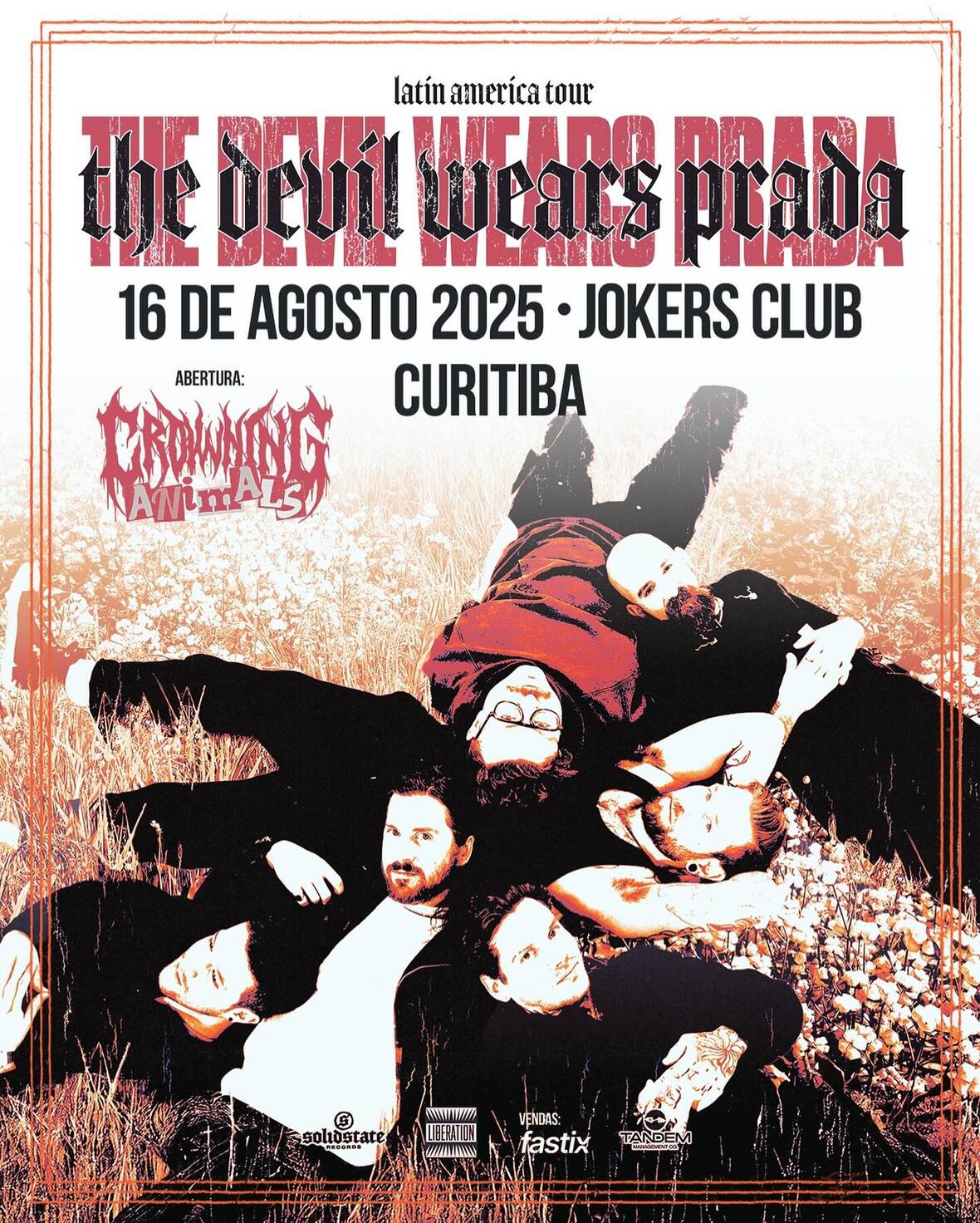 crowling animals curitiba tdwp