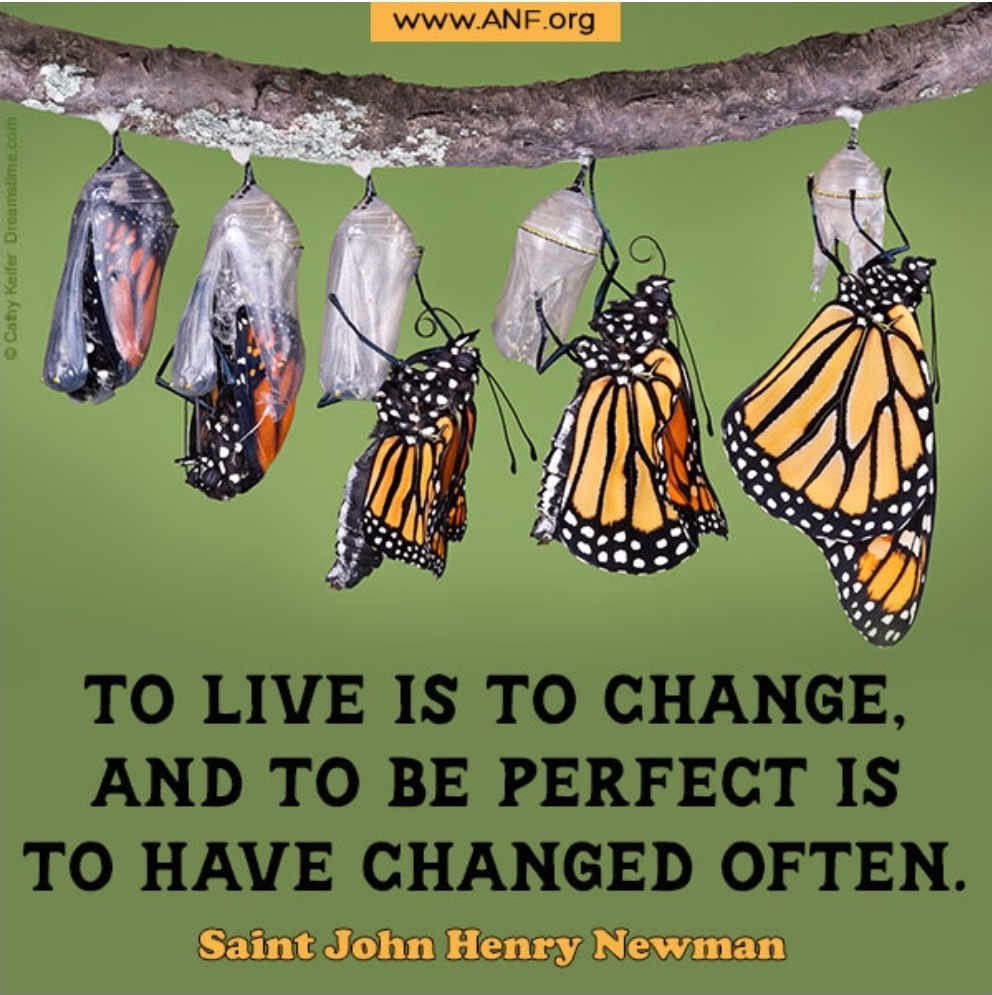 Screenshot 20251029 085758 Email