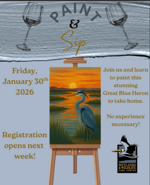 Wetlands Paint and Sip ad