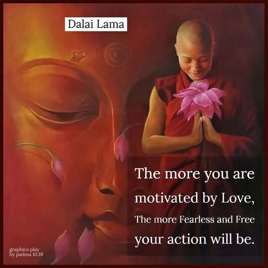 Dahli Lama Love and Freedom