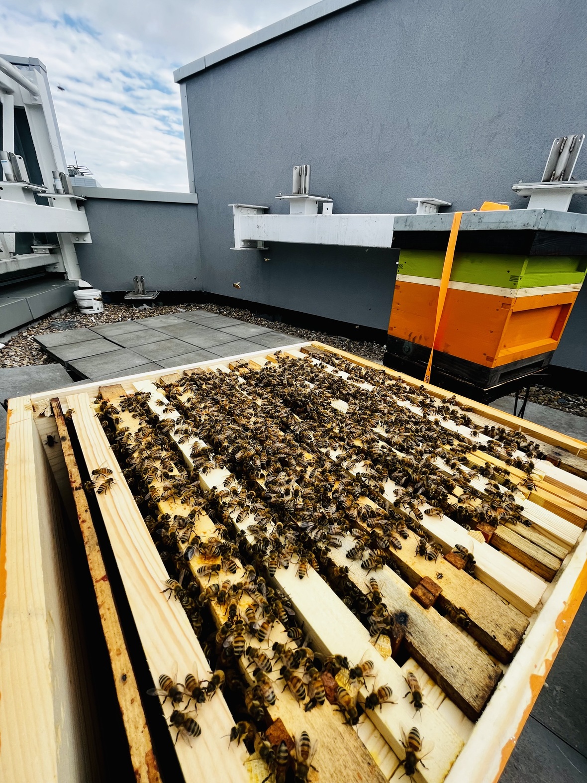 open hive